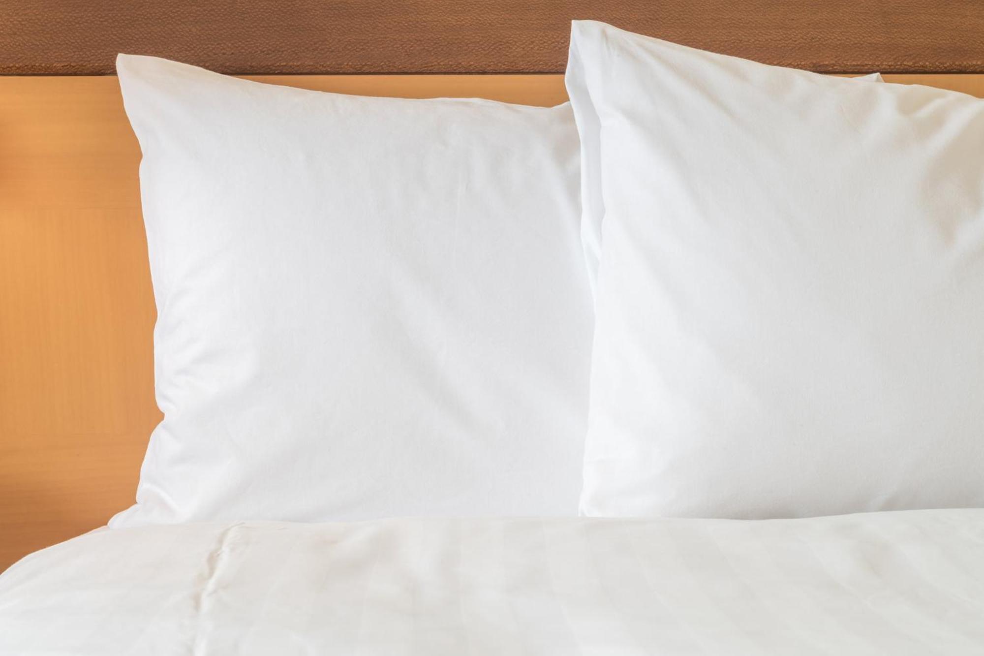 Holiday Inn Express & Suites Tampa Stadium - Airport Area By Ihg Екстериор снимка